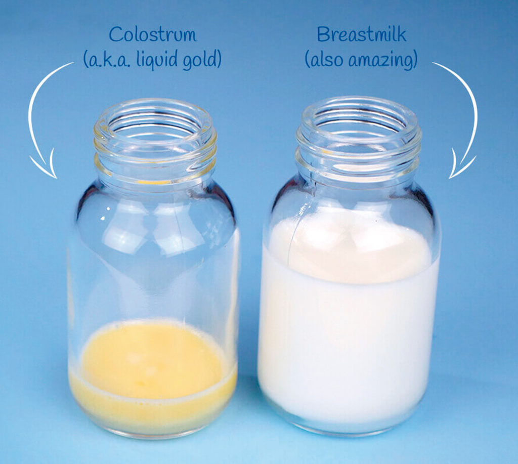 When do you start leaking colostrum? - FetalCalc